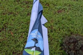 Guys, I got the umbrella