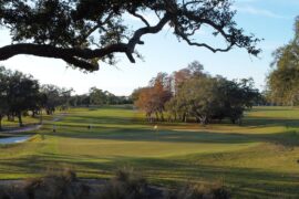 Dunedin Golf Club returns to Donald Ross glory after restoration