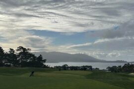 The Hay and Poppy Hills