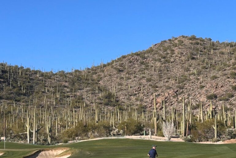 Gotta love Arizona Winters