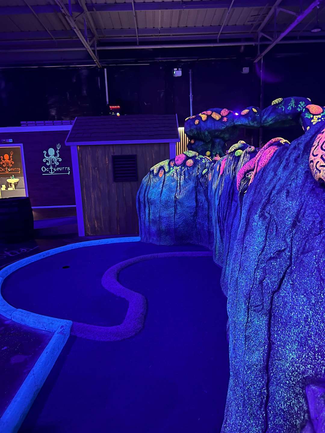 Octoputts crazy golf in Lynn will close towards the end of the month