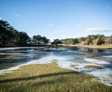 Reconstruction Begins at Chequessett Golf Course