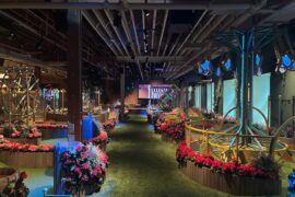 Swingers brings crazy golf course, carnival arcade to Mass. for first time