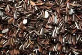 Back to the future – Australian Golf Digest