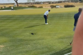 Morikawa is one of us