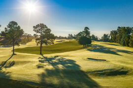 Augusta Municipal ready to reopen The Patch after...