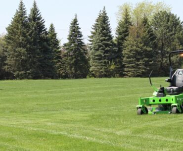 Naperville News Digest