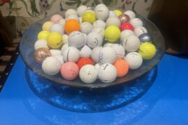 My local just cut down some bushes. I had a plastic bag with me.