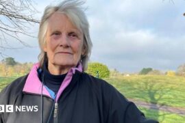 The golf course is on the other side of a wooden fence and there are golfers dressed in black and white playing on the pitch. Their trolleys are nearby. The golf course has trees around it and along the hill in the background.