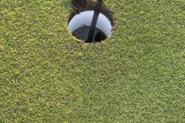 Cousin said I shall call you *Almost*