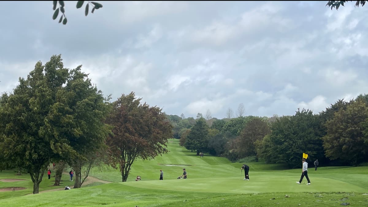 Forest Hills Golf Course proves winter resilience with impressive tournament scores Forest Hills Golf Course proves winter resilience with impressive tournament scores