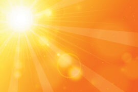 Photo: DesignToons / istock / getty images plus / getty images