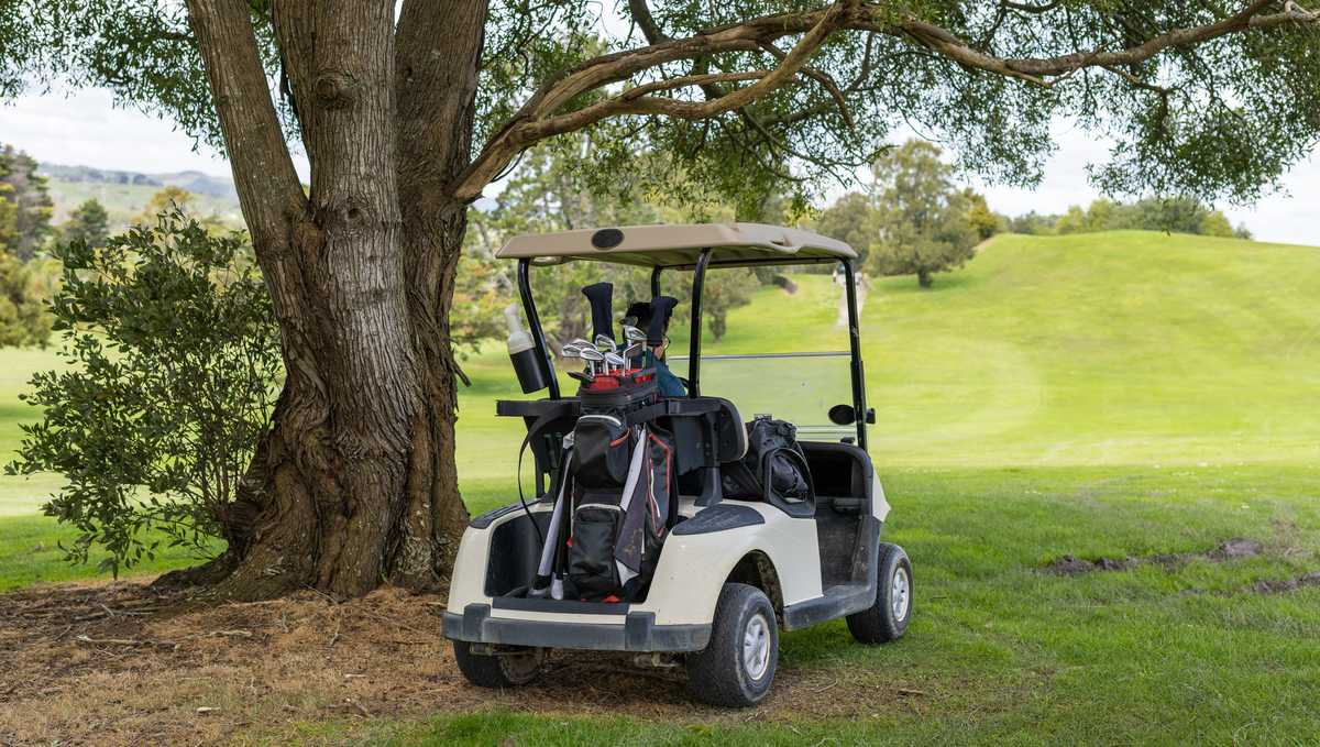 Oviedo opens registration for golf carts on select streets Oviedo opens registration for golf carts on select streets