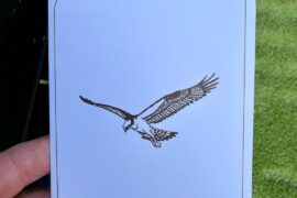 Amazing time out at Dye Preserve today ⛳️