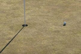 Birdied my first hole of the year! Ended up shooting a 41 playing 9 holes.