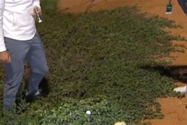 Why this LIV Golf ruling needed a unique tool