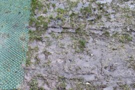 Winter golf in the UK right now.