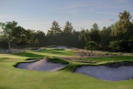 King Collins Dormer takes reins at Purebred Farm layout