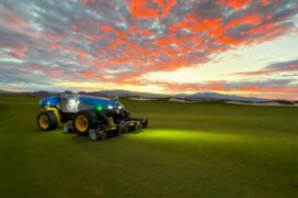 Of leaves, grass and sand