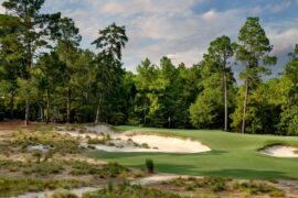 The high stakes of restorations, renovations