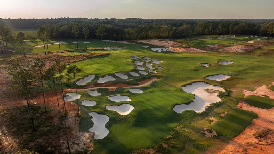 Broomsedge_CarolinaPines_Kemper-21_BillyRichards