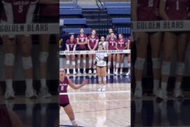 #volleyball  #fyp #waitforit #womensvolleyball