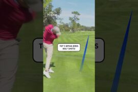Top 5 Bryan Bros Golf Shots! ✋