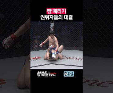 뺨 때리기 권위자들의 대결