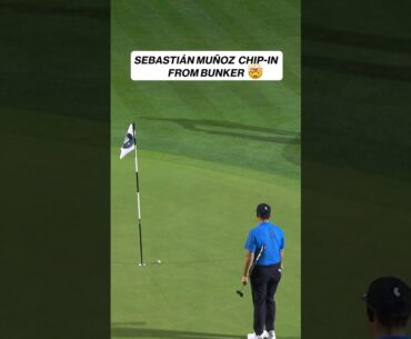 Muñoz is MONEY ⛳️ #livgolf #liv #chipin #golf #munoz