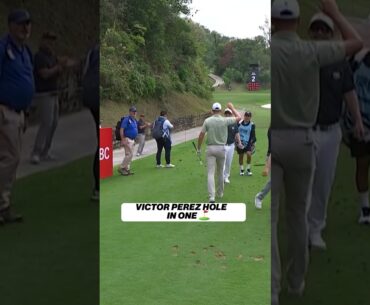 Victor Perez hits a hole in one in Hong Kong ⛳️ #golf #livgolf #holeinone
