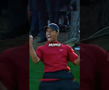 Tiger’s 16th Hole Miracle 🏆🐐