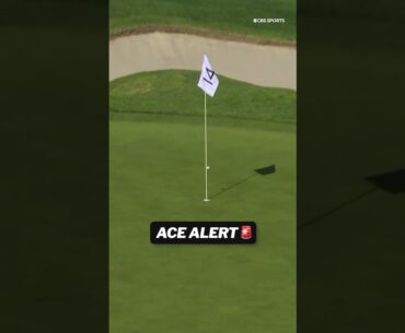 MAX GREYSERMAN ACE! #shorts