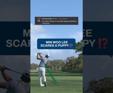 Min Woof Lee didn't mean it 😔