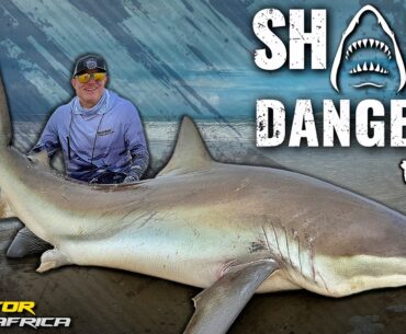 Döme Gábor - CÁPAVESZÉLY! Ne menj a vízbe! Félelmetes cápahorgászat Afrikában 1. rész