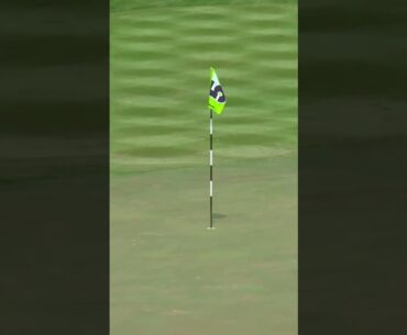 The hardest shot in golf 😳