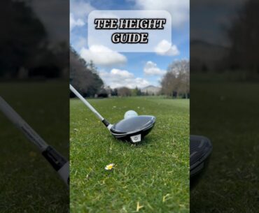 GOLF TIPS - TEE HEIGHT GUIDE (DRIVER/WOOD/IRONS) #golf #golftips #golfdrills #golfer #golfing