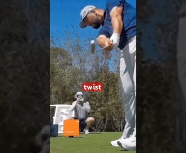 What No One Tells You About The RELEASE! (Must Know)