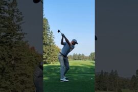 Cameron Young #golfswing