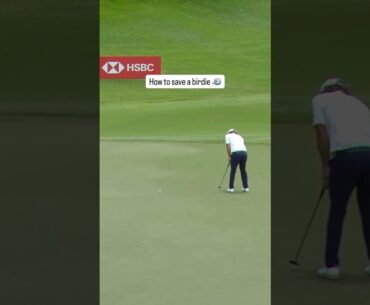 Cam Smith with the long putt for birdie 🐦