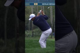 Tom Hoge makes a 9 on the 7th hole at THE PLAYERS. #golf #golfishard