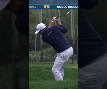 Tom Hoge makes a 9 on the 7th hole at THE PLAYERS. #golf #golfishard