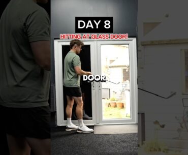 DAY 8 - GOLF BALL vs GLASS DOOR (75mph) #golf