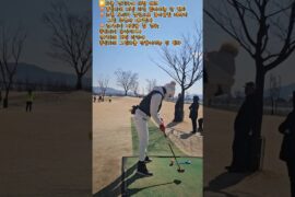 파크골프열풍  칠곡군 파크골프협회장기대회 석적파크골프장