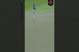 He literally hit copy and paste 🤯 #golf #shorts