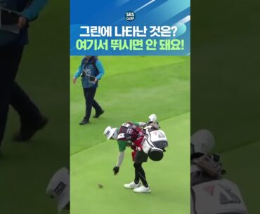 갤러리, 중계진 모두를 박장대소 시킨 장면