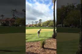 Matt Fitzpatrick - Can Cross Chipping Win The Players!