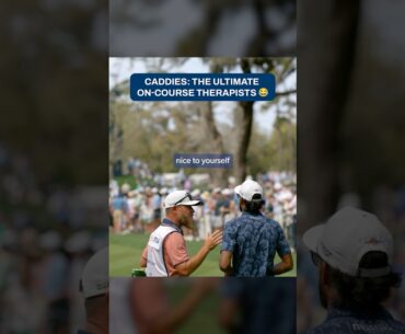 What would we do without them?! 🤝