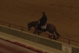 260319 NHNP Nick Taylor on Thechicsdreamaboutme