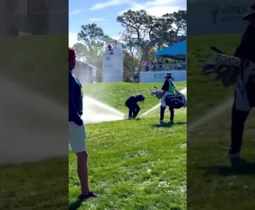 Oh no Adam Hadwin 😅 A slight mishap with a sprinkler head during the 2025 Valspar Championship