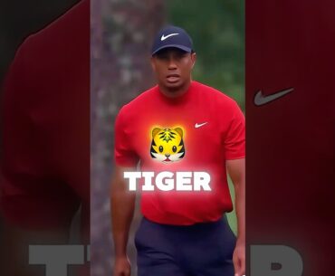 “Tiger Had to Be Tiger”… Then 2019 Masters Happened 🐅⛳️